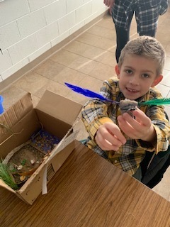 Models of our birds with adaptations to help them survive in their habitat.
